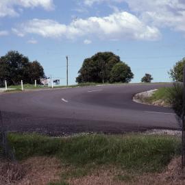 Entrance road, Shortland Wetlands, NSW, 1989-1994