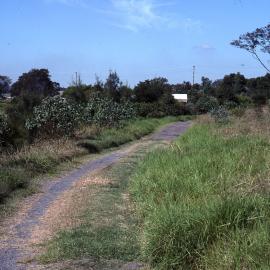 Canoe Trail road, Shortland Wetlands, NSW, April 1993
