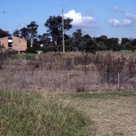 Wet heath, (Wallum), Shortland Wetlands, NSW, 1993