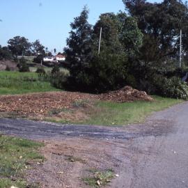 Left-hand side of entry garden, Shortland Wetlands, NSW, April 1993