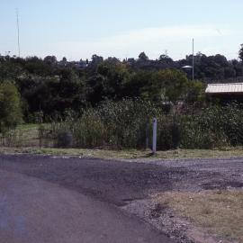 Right-hand side entry, silt pond, Shortland Wetlands, NSW, April 1993