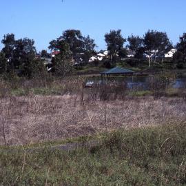 Wet heath, (Wallum), Shortland Wetlands, NSW, April 1993