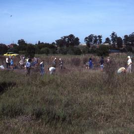 Wet heath, (Wallum), planting bee, Shortland Wetlands, NSW, April 1993