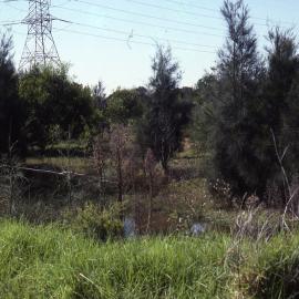 Island, Canoe Trail, Shortland Wetlands, NSW, April 1993