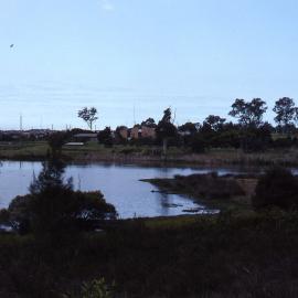 Shortland Wetlands, Shortland, NSW, 1993