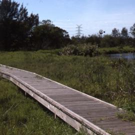 Proposed Melaleuca nodosa forest, Shortland Wetlands, NSW, March 1995
