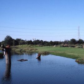 Lake monster, Hunter Wetlands, Shortland, NSW, 20 June 1996  