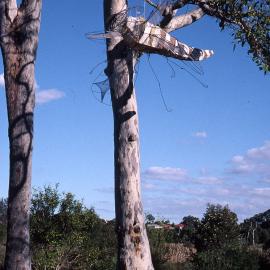 Dragonfly sculpture, Hunter Wetlands, Shortland, NSW, June 1996