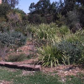 Silt trap, Hunter Wetlands, Shortland, NSW, 1996
