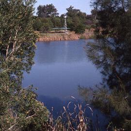 Lions Club picnic area Triglochin (Water Ribbon) Swamp, Hunter Wetlands, Shortland, NSW, April 1997