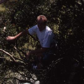 Peter Vaughan lopping branches, Egret Hide, Hunter Wetlands, Shortland, NSW, April 1997