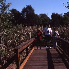 Boardwalk, Farm Dam, Hunter Wetlands, Shortland, NSW, 1997