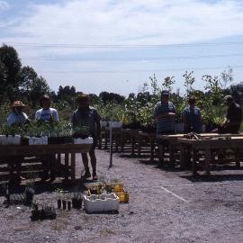 Newcastle North Rotary benches, plant nursery, Hunter Wetlands, Shortland, NSW, February 1997
