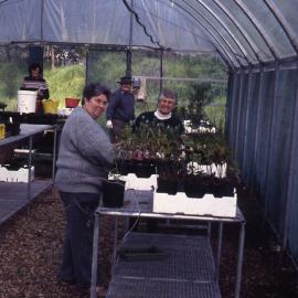 Polyhouse, new benches, APS, (Australian Plants Society), Hunter Wetlands, Shortland, NSW, October 1997