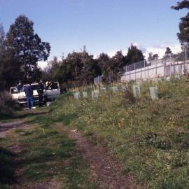 Blanch Street, Shortland, Hunter Wetlands, Shortland, NSW, July 1998