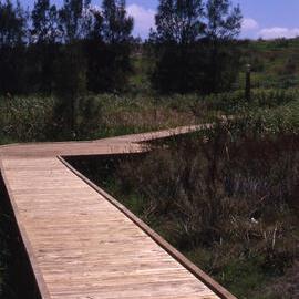 Boardwalk, Ironbark Marsh, Work for the Dole project, Hunter Wetlands, Shortland, NSW, 1999