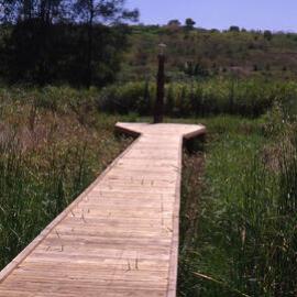 Boardwalk, Ironbark Marsh, Work for the Dole project, Hunter Wetlands, Shortland, NSW, 1999