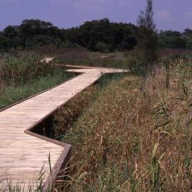Boardwalk, Ironbark Marsh, Work for the Dole project, Hunter Wetlands, Shortland, NSW, 1999