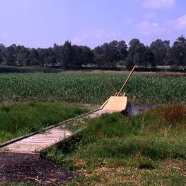 Triglochin boardwalk, Water Ribbon Pond, Hunter Wetlands, Shortland, NSW, 1999