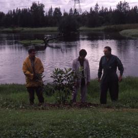 30,000th tree, Steve Wisniewiski, Cathy Tate and Paddy Lightfoot, Hunter Wetlands, Shortland, NSW, October 1999