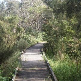Melaleuca nodosa forest, Hunter Wetlands, Shortland, NSW, May 2001