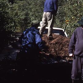 Laying mulch, Hunter Wetlands, Shortland, NSW, 2002