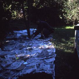 Laying paper for mulch, Hunter Wetlands, Shortland, NSW, 2002