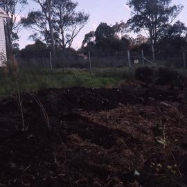 Proposed Conference Centre, Hunter Wetlands, Shortland, NSW, 2001