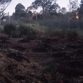 Proposed Conference Centre, Hunter Wetlands, Shortland, NSW, 2001