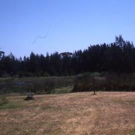 Brambles Pond, Hunter Wetlands, Shortland, NSW, 2002