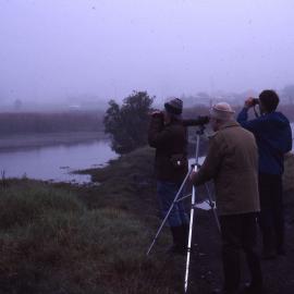 Birdwatching, [Shortland Wetlands], NSW
