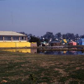 Wildflower spectacular, Shortland Wetlands, NSW, September 1991