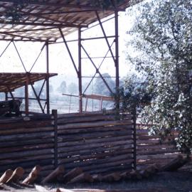 Commencement of ramp, May 1957