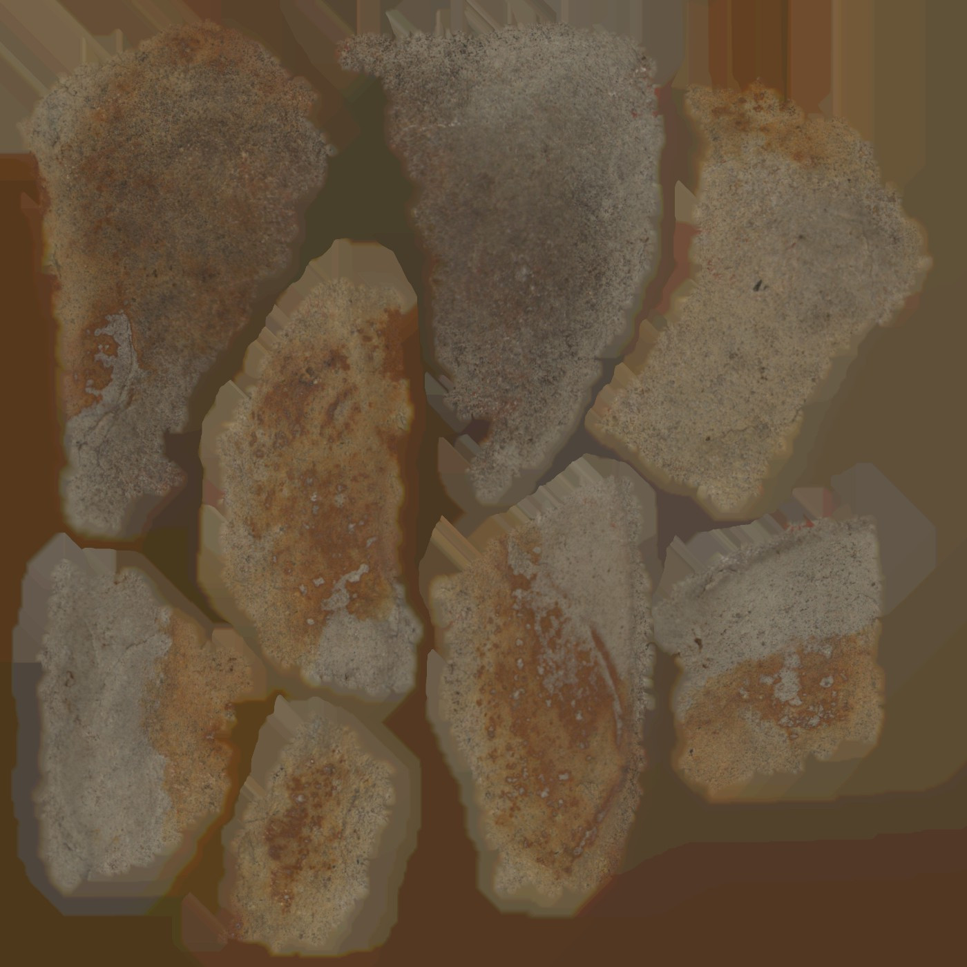 Stone artefact (possible Stone tool)