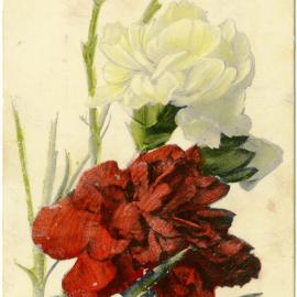Coloured painting of Carnations