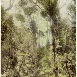 Bush Paradise (Australian Grass Trees photograph)