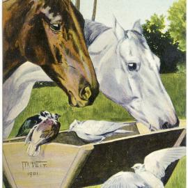 Postcard - Two horses heads and four doves