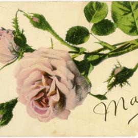 Pink Roses with the inscription "Maud"
