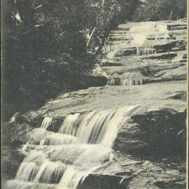 Cascade Leura