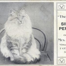 "The Sultan"