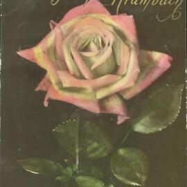 Kind Regards and Best Wishes from Krambach