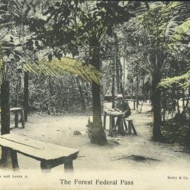 The Forest - Federal Pass