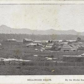 Bellinger Heads