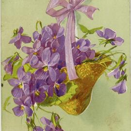 Pouch of Violets