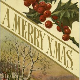 A Merry Xmas
