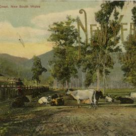 Dairy Farm, South Coast, New South Wales