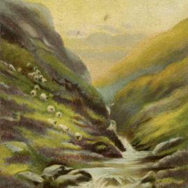 Mountain Pasture
