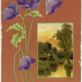 Flowers at Sunset