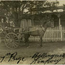 Horse and Buggy at Bellingen or Kempsey