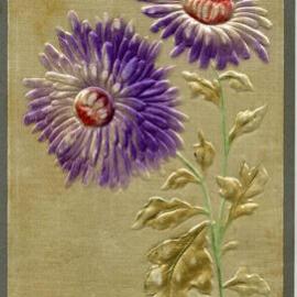 Purple Flowers